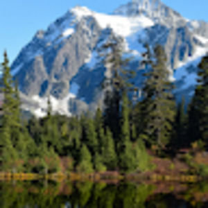 Meet your Posher, Elsa